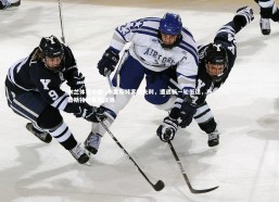 米兰体育中国-.布雷斯特客场失利，遭遇新一轮低迷，布雷斯特对雷恩预测