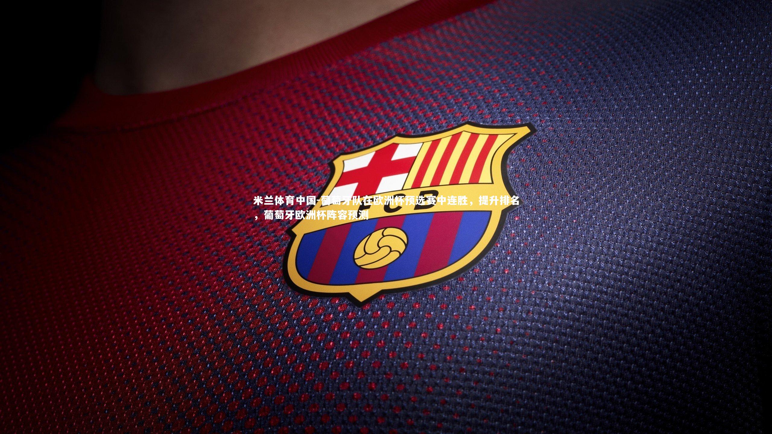 葡萄牙队在欧洲杯预选赛中连胜，提升排名，葡萄牙欧洲杯阵容预测